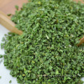 China factory Competitive Price Wholesale Dehydrated Dried Green onion